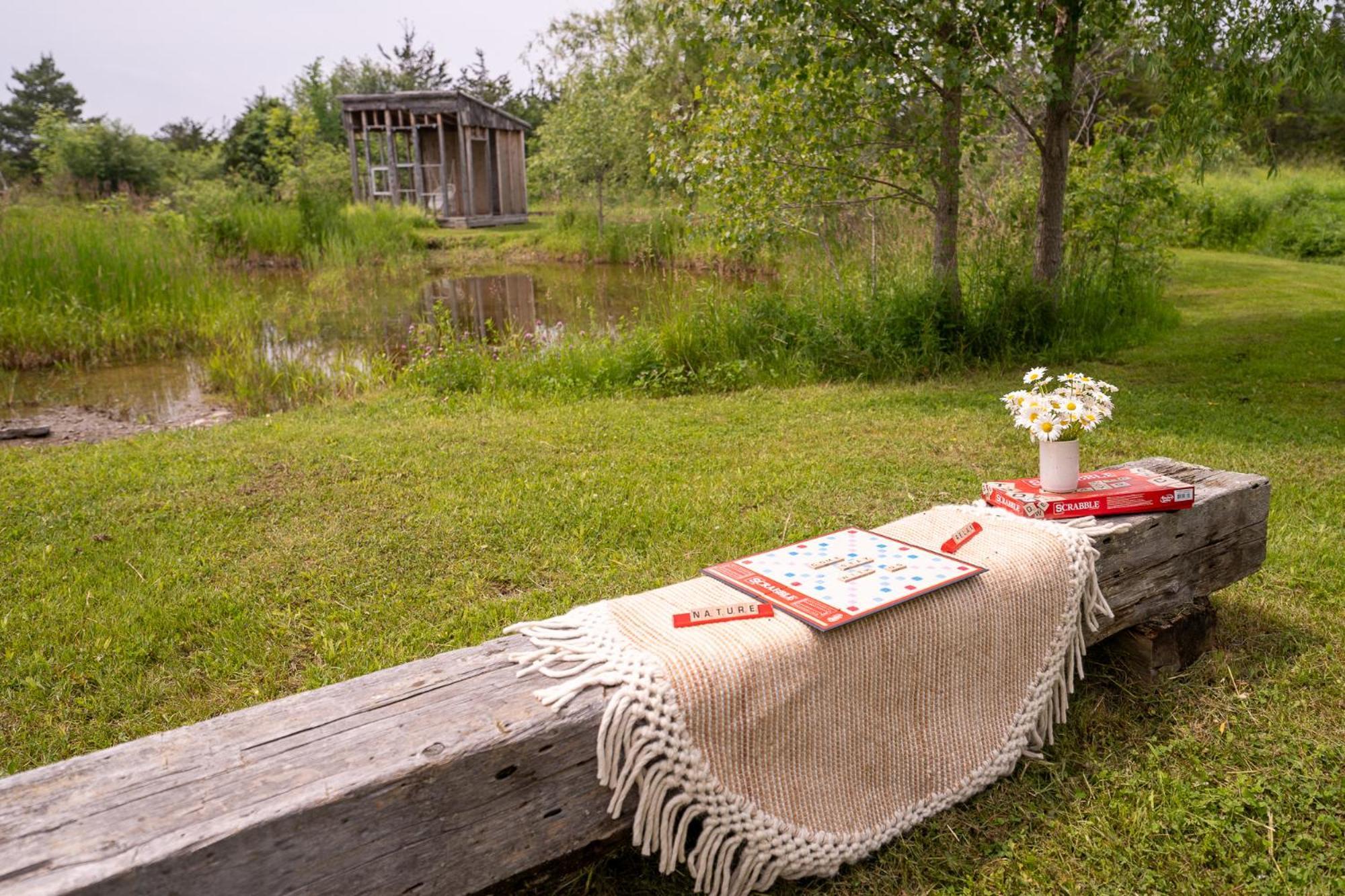 Owl'S Nest Suites Carrying Place Buitenkant foto